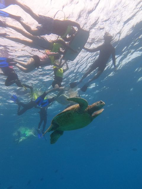 Oahu Snorkeling with Turtles, Water Scooter, Paddleboard - Snacks and the Cafe Iyasume musubi finish