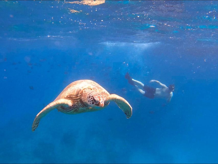 Oahu Snorkeling with Turtles, Water Scooter, Paddleboard - Price and value: is $120 fair for turtles plus scooter plus paddleboard?