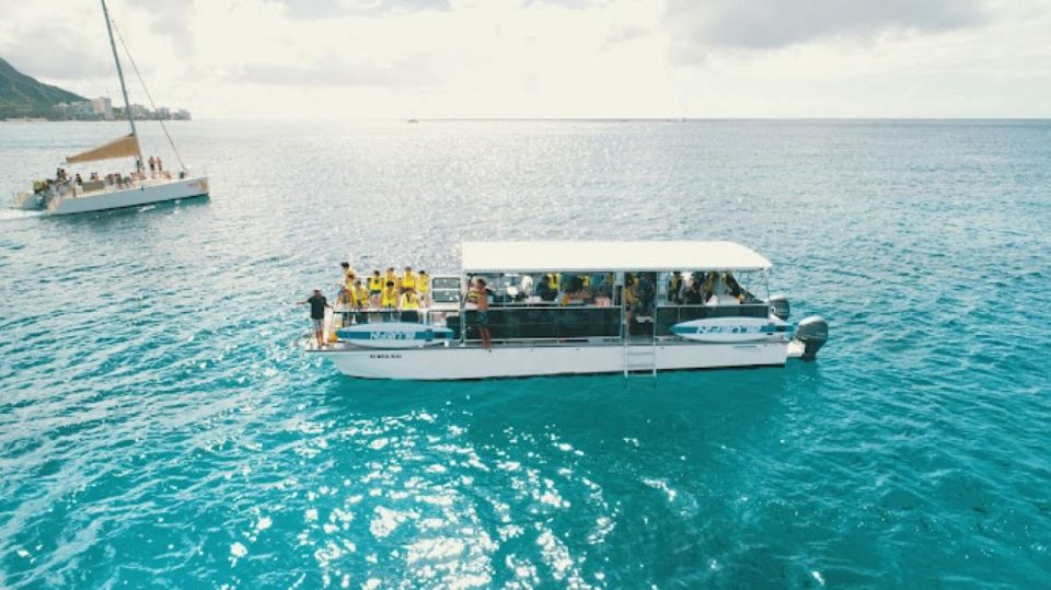 Oahu Snorkeling with Turtles, Water Scooter, Paddleboard - Turtle Canyon snorkeling with Hawaiian green sea turtles
