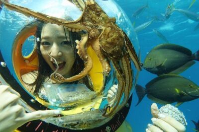 Oahu: Submarine Scooter Adventure - Your scooter session: what you’ll see and how you’ll move
