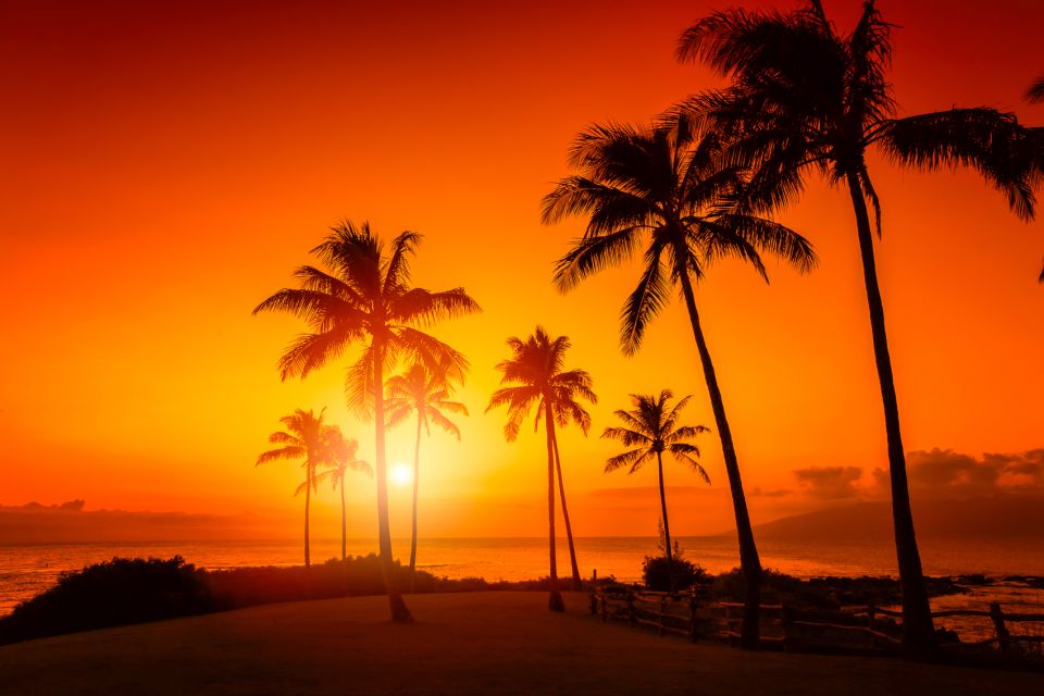 Oahu: Sunset Cruise of West Oahu with Drinks and Appetizers - The deck view: what you’ll actually notice during golden hour