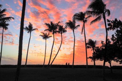 Oahu: Sunset Cruise of West Oahu with Drinks and Appetizers - Included drinks and pupus: the meal is part of the experience
