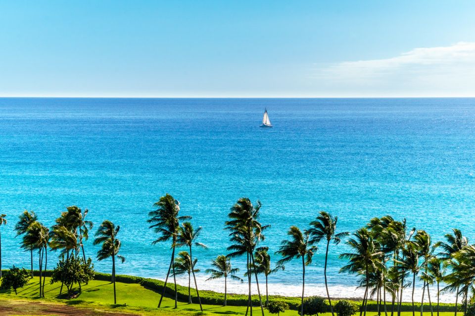 Oahu: Sunset Cruise of West Oahu with Drinks and Appetizers - Is this West Oahu sunset cruise good value at $108?