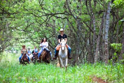 Oahu Sunset Horseback Ride - Laie Meeting Point: Timing From Waikiki