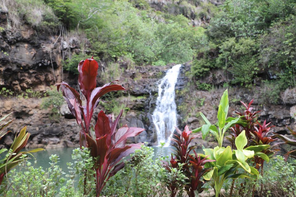 Oahu: Valley of Waimea Falls Swim & Hike with Lunch & Dole - Quick take: what makes this day trip worth your time