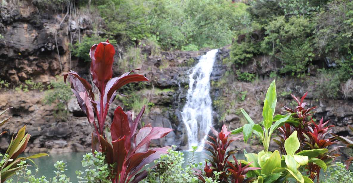 Oahu: Valley of Waimea Falls Swim & Hike with Lunch & Dole - Why Waimea Valley is the right kind of 8-hour Hawaii day