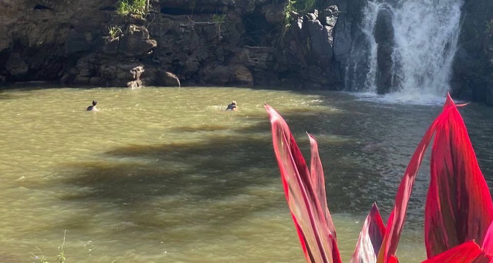 Oahu: Valley of Waimea Falls Swim & Hike with Lunch & Dole - Waimea Falls swim: the highlight, with real-world safety details
