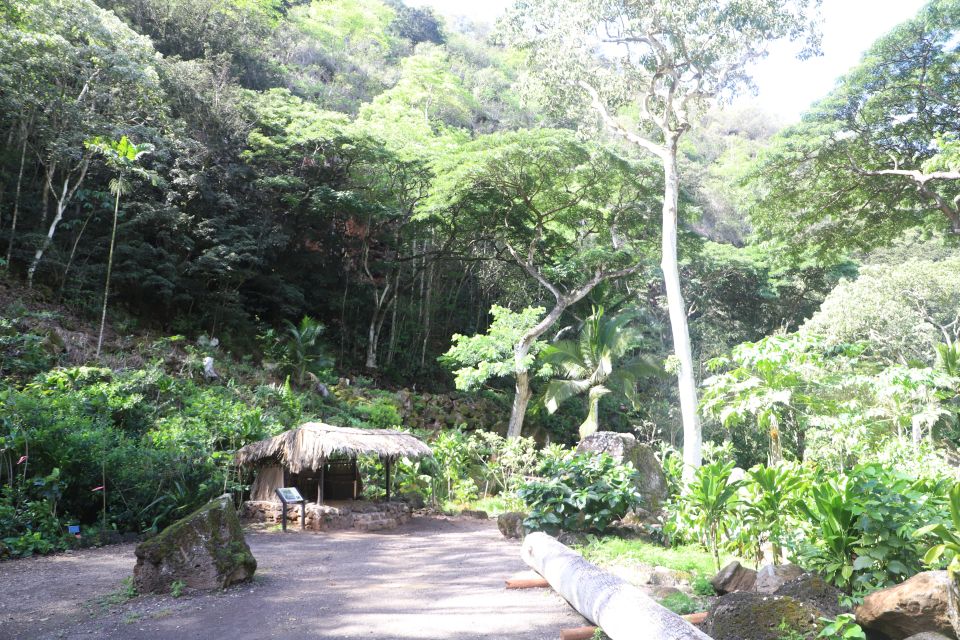Oahu: Valley of Waimea Falls Swim & Hike with Lunch & Dole - Transport, timing, and the small details that change everything