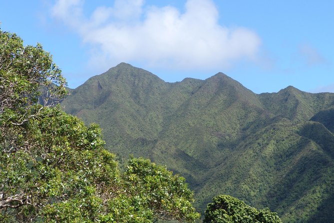 Oahu Volcanic Rainforest Hiking Adventure - Rainforest, Waterfalls, and the Koʻolau Mountains: What You’re Really Getting