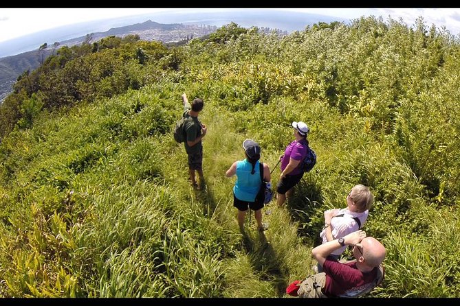 Oahu Volcanic Rainforest Hiking Adventure - On the Trail: Mud, Streams, and a 2.5-Mile One-Way Volcano Hike