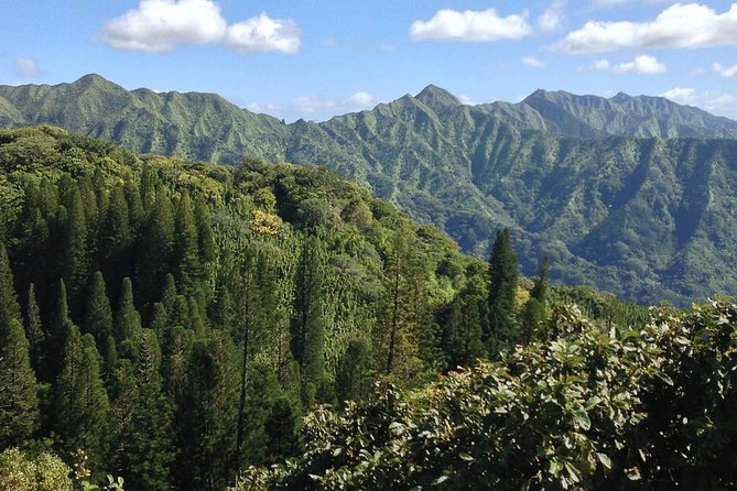 Oahu Volcanic Rainforest Hiking Adventure - Falls, Pools, and Photo Timing: When the Scenic Payoff Arrives