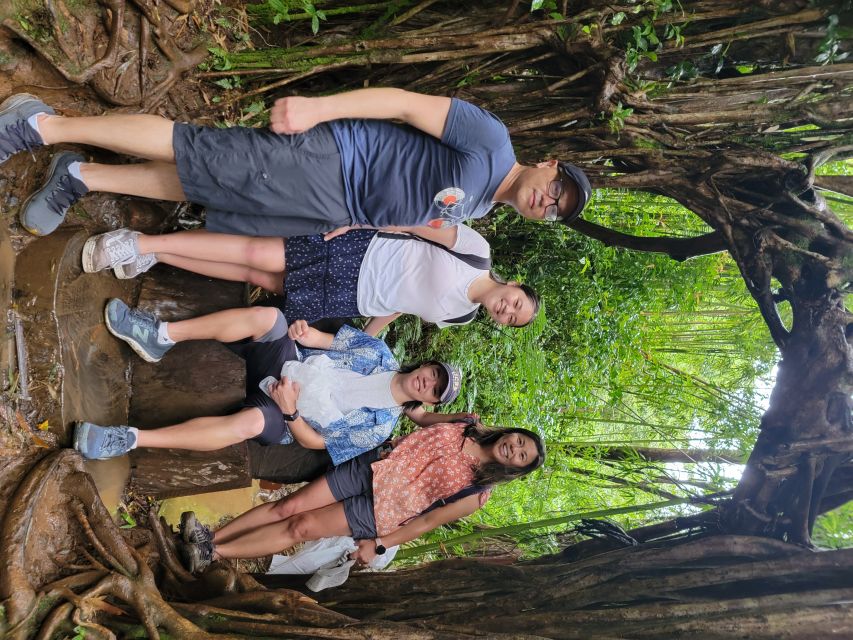 Oahu: Waikiki E-Bike Ride and Manoa Falls Hike - Man oa Falls hike: what to expect on the trail and at the falls