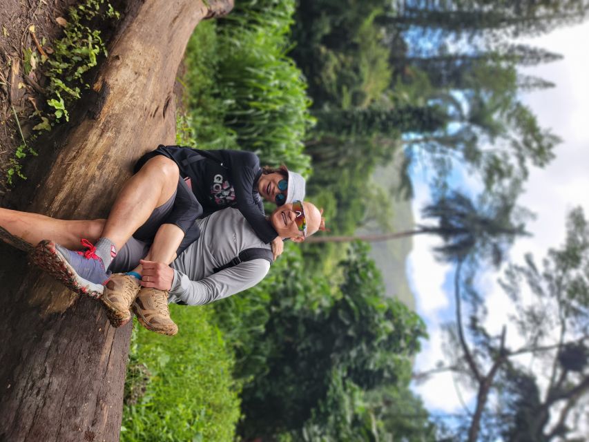 Oahu: Waikiki E-Bike Ride and Manoa Falls Hike - Guide quality you can feel: helmet comms and smart photo stops