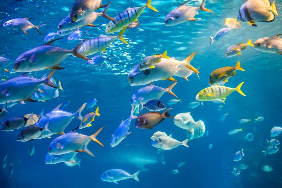 Oahu: Waikiki Glass Bottom Boat Sunset Cruise - Crew Stories You’ll Hear on the Water (and the Names People Remember)