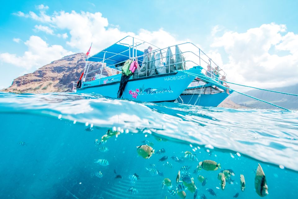 Oahu: Waikiki Turtle Snorkeling Adventure - Who should book this snorkel cruise (and who might not love it)