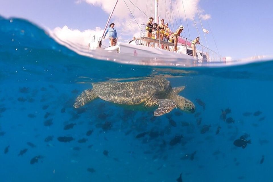 Oahu: Waikiki Turtle Snorkeling Adventure Cruise - Boarding and the Safety Brief That Actually Helps