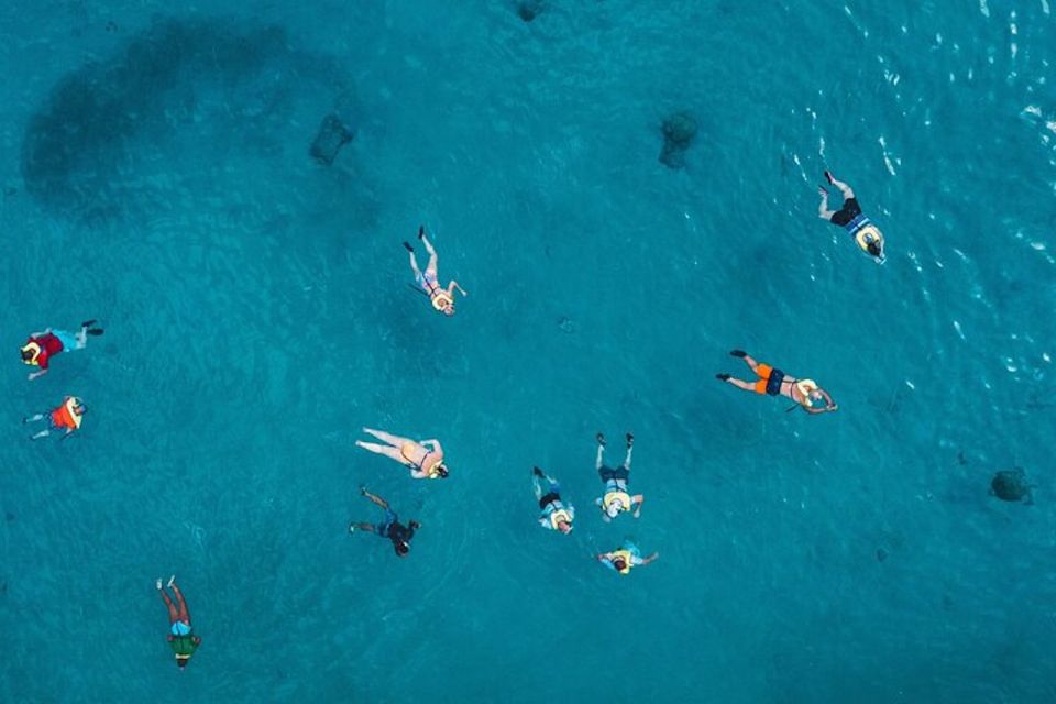 Oahu: Waikiki Turtle Snorkeling Adventure Cruise - Getting to Pink Sails Waikiki and Timing Your 2 Hours