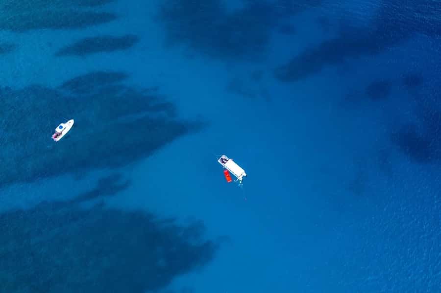 Oahu: Waikiki Whale Watch Boat Tour - Key Points Before You Go