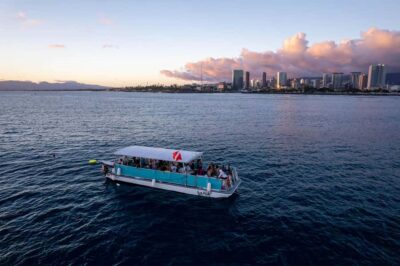 Oahu: Waikiki Whale Watch Boat Tour - Kewalo Basin Meeting Point: Arrive Early and Plan Your Pier