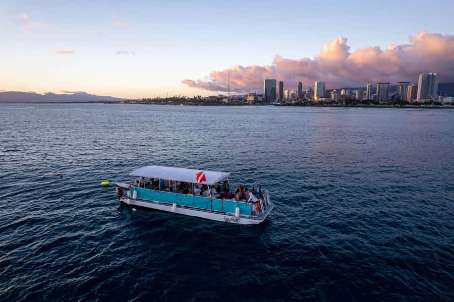 Oahu: Waikiki Whale Watch Boat Tour - Kewalo Basin Meeting Point: Arrive Early and Plan Your Pier