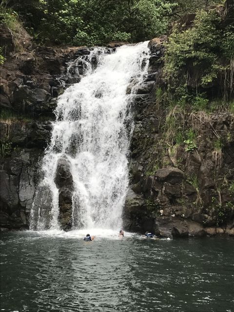 Oahu: Waimea Falls & valley & North Shore day - Key Highlights You’ll Feel Right Away