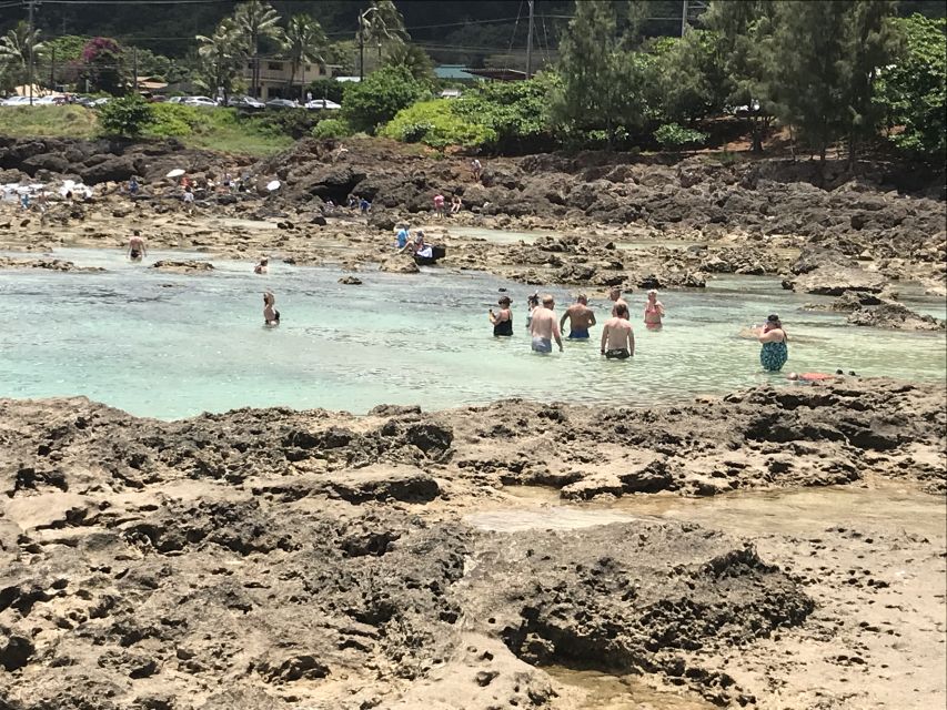Oahu: Waimea Falls & valley & North Shore day - Morning Starts: Turtle Search Beaches, Sugar Mill, and Macadamia Stops