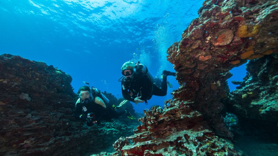 Oahu: Wreck & Reef Scuba Dive for Certified Divers - Key Highlights That Make This Oahu Scuba Tour Worth Your Time