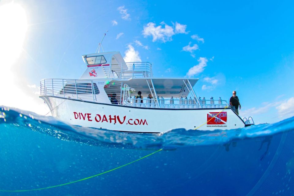 Oahu: Wreck & Reef Scuba Dive for Certified Divers - YO-257 and San Pedro Side-by-Side: When Currents Decide the Plan