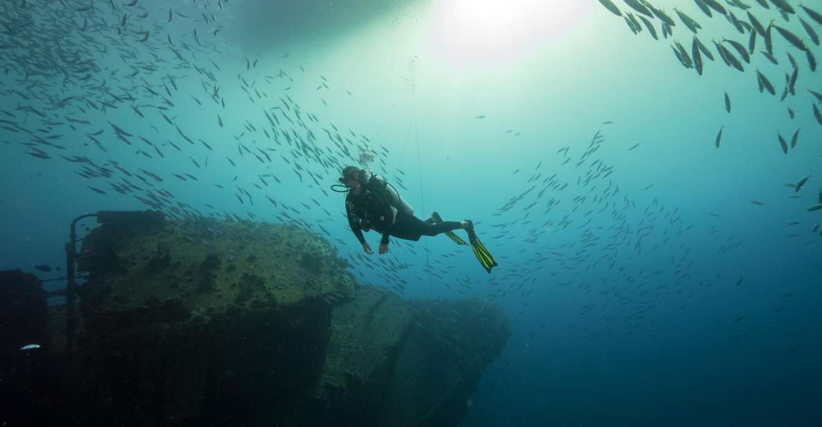Oahu: Wreck & Reef Scuba Dive for Certified Divers - Sea Tiger Wreck at 60–90 Feet: What to Expect from This Trading Vessel