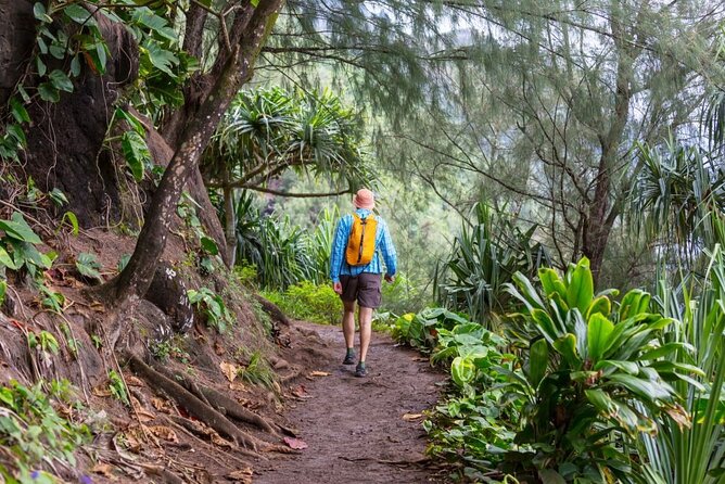 Oahu's North Shore Self-Guided Audio Tour - Key highlights to know before you go