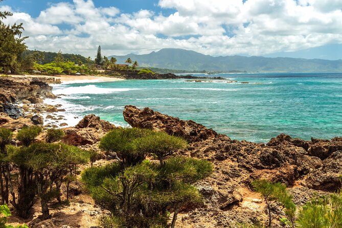 Oahu's North Shore Self-Guided Audio Tour - Haleiwa, Turtle Beach (Lāna’iakēa), and Waimea Bay: waves and wildlife rules