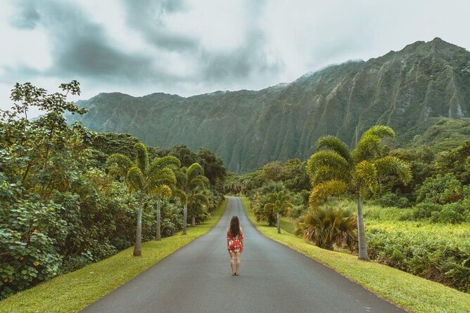 Oahu's North Shore Self-Guided Audio Tour - Desserts that power the afternoon: Matsumoto shave ice and Ted’s cream pies