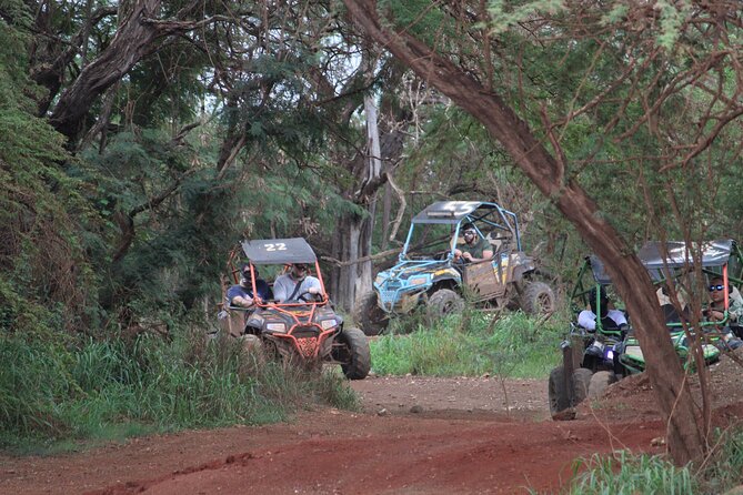 Off-Road ATV & 3 Zipline Combo (Optional Waikiki Shuttle) - Guide style and safety culture: why people keep praising the crew