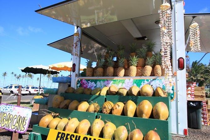 One-Day Tour Hawaii Movie Tour: Island Hopping from Oahu to Kauai - Opaekaa Falls + the film-heavy middle of the day