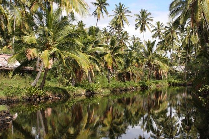 One-Day Tour Hawaii Movie Tour: Island Hopping from Oahu to Kauai - Boarding-day reality: security time can be your only snag
