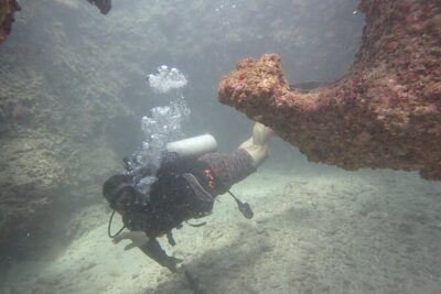 Open Water Scuba Certification - Days 1 and 2 on the first weekend: from beach skills to ocean practice