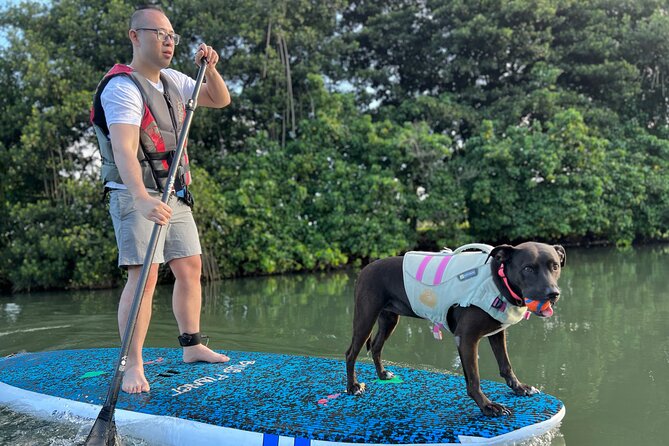 Paddle Board North Shore with Rescue Dogs - Where you start at Blue Planet Hale’iwa in Haleiwa