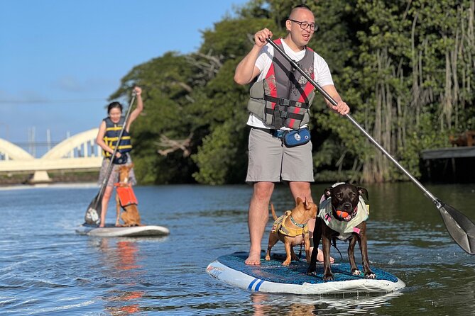Paddle Board North Shore with Rescue Dogs - Paddling the Haleiwa River and the Rainbow Bridge stop