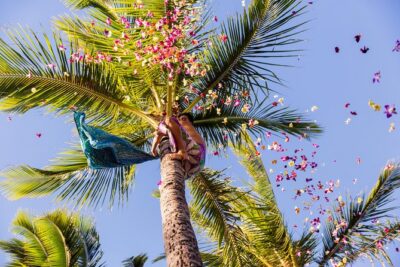 Paradise Cove Luau - Your Pre-Show Moment: Mai Tai, Lei Greeting, and Island Games