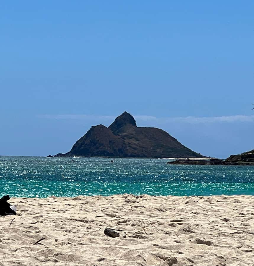 Pearl Harbor and Scenic Oahu Private Tour - What Makes This Private Pearl Harbor and Oahu Tour Worth It