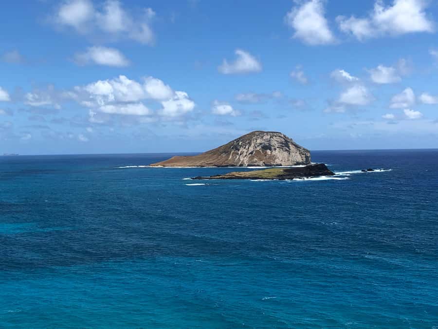 Pearl Harbor and Scenic Oahu Private Tour - Booking Reality: 6 Hours, Two Coastlines, One Solid Plan