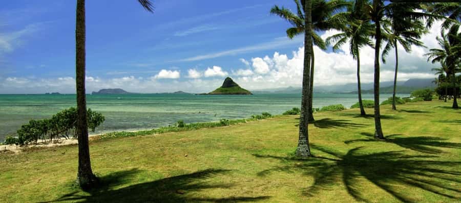 Pearl Harbor and Scenic Oahu Private Tour - USS Arizona Memorial: Skip the Lines and Spend Time Where It Counts