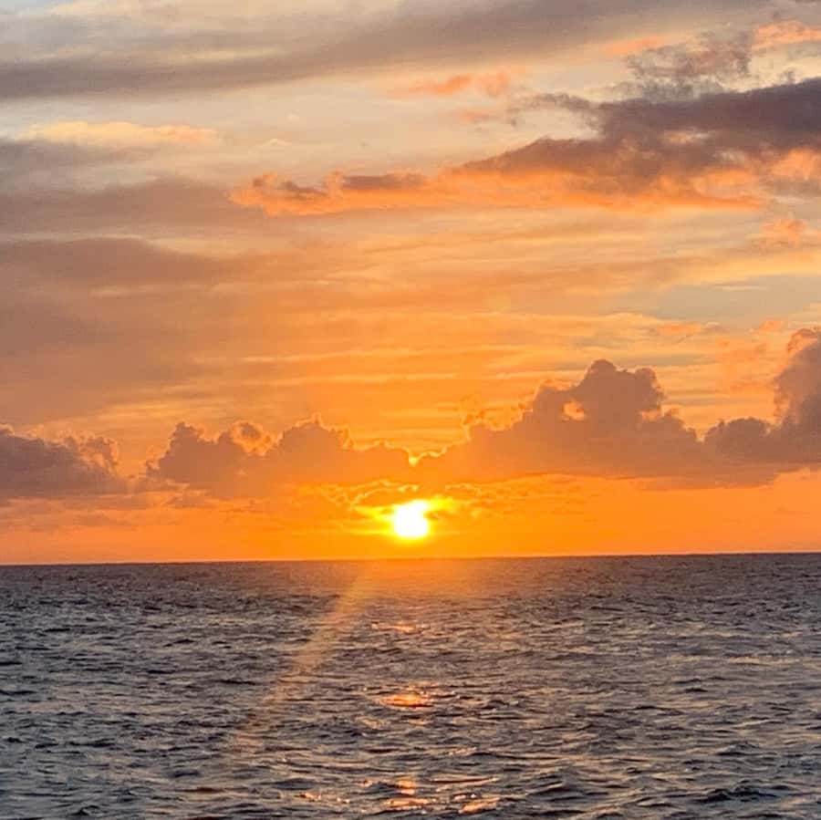 Pearl Harbor and Scenic Oahu Private Tour - Guide Quality: Why Riley’s Style Makes the Whole Day Work
