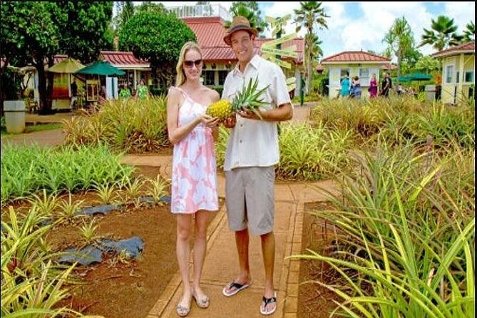 Pearl Harbor, Dole Plantation, and Polynesian Center from Maui - Price and value: what you pay, what you save, and what costs extra
