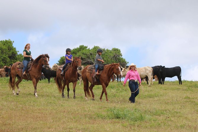 Pony Rides For Kids - Price and value: what $77 buys you on Oahu