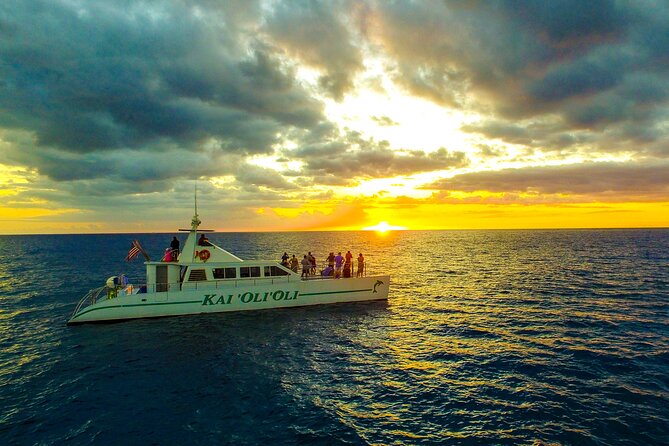 Premium Snorkel Sunset Cruise with Whale and Dolphin Watch - Quick highlights