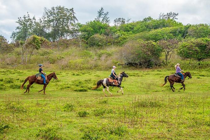 Private Advanced Trail Ride - Key things that make this ride worth your time
