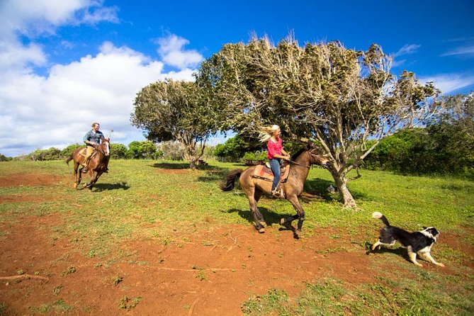 Private Advanced Trail Ride - Gunstock Ranch: why this private advanced ride feels special on Oahu