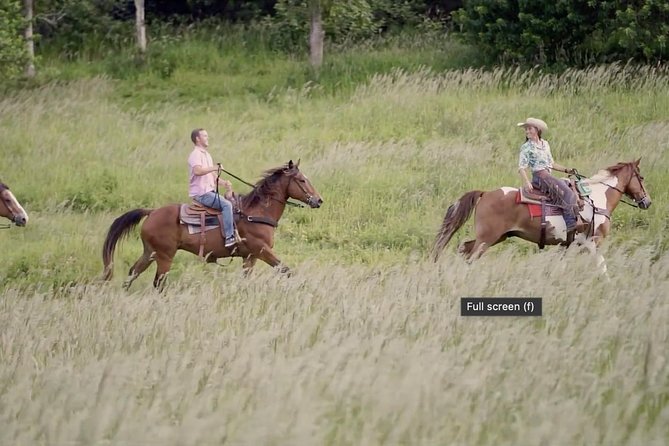 Private Advanced Trail Ride - How the advanced level affects your trot and canter
