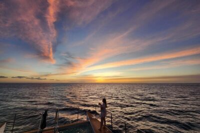 Private and Luxurious Sunset Cruise with Whale & Dolphin Watch - Meeting point and the 4:15 pm rhythm